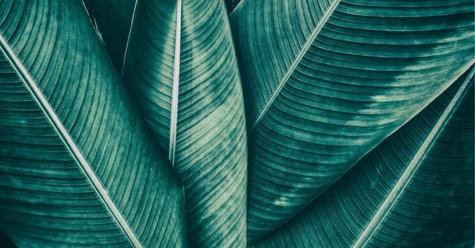 NAD+ Injections in Memphis| Boost Energy & Cellular Health image