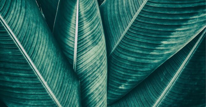 NouvaDerm Skin Resurfacing: The Best Skin Resurfacing treatment in Memphis