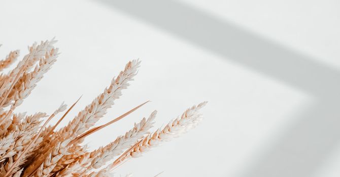 NAD+ Injections in Memphis| Boost Energy & Cellular Health